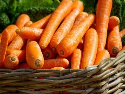 Carrots are healthy, but active enzyme unlocks full benefits | Carrots are healthy, but active enzyme unlocks full benefits Carrots are healthy, but active enzyme unlocks full benefits | Carrots are healthy, but active enzyme unlocks full benefits