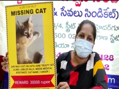 Hyderabad woman announces Rs 30,000 cash reward for info on her missing cat | Hyderabad woman announces Rs 30,000 cash reward for info on her missing cat