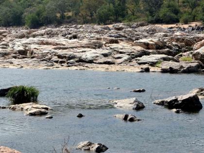 Cauvery issue: TN farmers to protest in eight districts on Sep 20 | Cauvery issue: TN farmers to protest in eight districts on Sep 20 Cauvery issue: TN farmers to protest in eight districts on Sep 20 | Cauvery issue: TN farmers to protest in eight districts on Sep 20