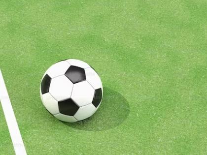 Chinese football team official apologises for referee assault | Chinese football team official apologises for referee assault