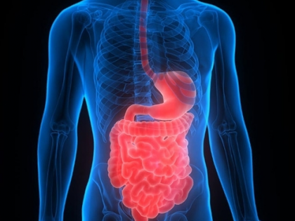 Common antibiotic shows hope for inflammatory bowel disease | Common antibiotic shows hope for inflammatory bowel disease Common antibiotic shows hope for inflammatory bowel disease | Common antibiotic shows hope for inflammatory bowel disease