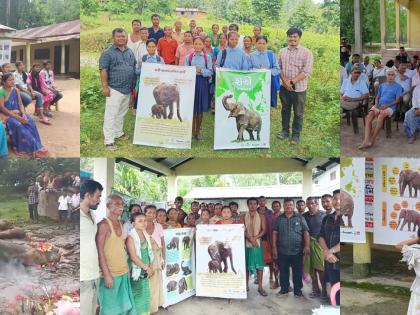 Human-elephant conflict claims 118 lives since 2022 in Assam | Human-elephant conflict claims 118 lives since 2022 in Assam Human-elephant conflict claims 118 lives since 2022 in Assam | Human-elephant conflict claims 118 lives since 2022 in Assam