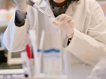 Israeli scientists create complete human-like embryo models from stem cells | Israeli scientists create complete human-like embryo models from stem cells Israeli scientists create complete human-like embryo models from stem cells | Israeli scientists create complete human-like embryo models from stem cells