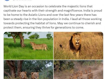 PM Modi lauds those working towards protecting lion habitats | PM Modi lauds those working towards protecting lion habitats PM Modi lauds those working towards protecting lion habitats | PM Modi lauds those working towards protecting lion habitats