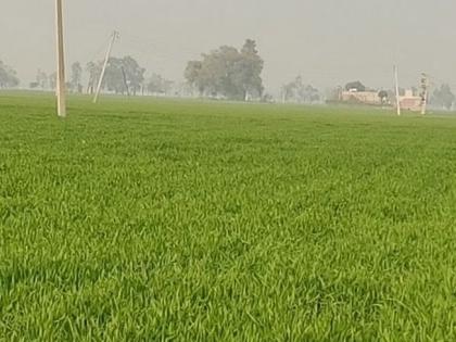 Mukhya Mantri Khet scheme to be implemented in whole of UP | Mukhya Mantri Khet scheme to be implemented in whole of UP