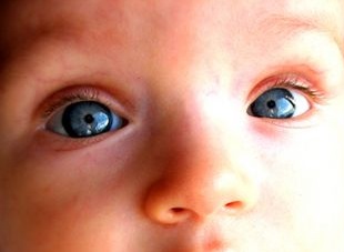 Tracking toddler's eye movement can help detect autism risk early | Tracking toddler's eye movement can help detect autism risk early Tracking toddler's eye movement can help detect autism risk early | Tracking toddler's eye movement can help detect autism risk early