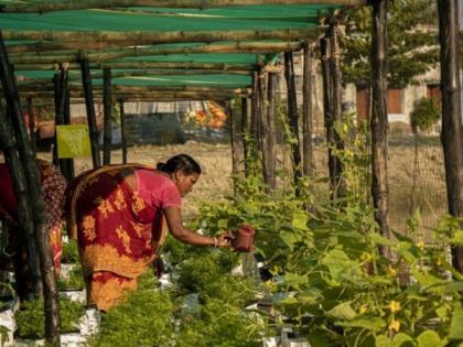 Locally-designed floating farm programme in Sundarbans wins $100,000 at GEF Assembly | Locally-designed floating farm programme in Sundarbans wins $100,000 at GEF Assembly Locally-designed floating farm programme in Sundarbans wins $100,000 at GEF Assembly | Locally-designed floating farm programme in Sundarbans wins $100,000 at GEF Assembly