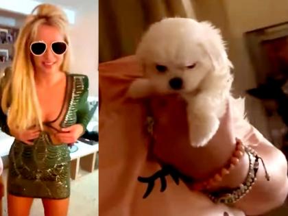 Britney Spears called off birthday party to take her dog to vet | Britney Spears called off birthday party to take her dog to vet Britney Spears called off birthday party to take her dog to vet | Britney Spears called off birthday party to take her dog to vet