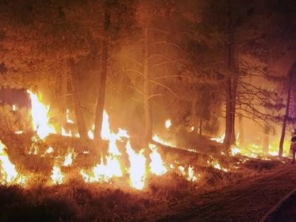 Over 2 bn people exposed to at least one day of wildfire smoke: Study | Over 2 bn people exposed to at least one day of wildfire smoke: Study Over 2 bn people exposed to at least one day of wildfire smoke: Study | Over 2 bn people exposed to at least one day of wildfire smoke: Study