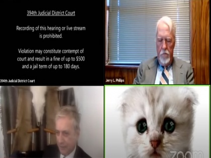 Viral Video! 'I'm not a cat': Texas lawyer trapped by cat filter informs judge on Zoom call | Viral Video! 'I'm not a cat': Texas lawyer trapped by cat filter informs judge on Zoom call