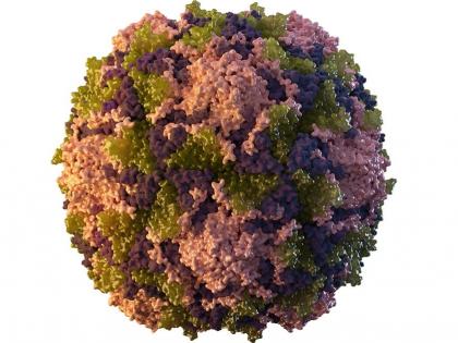 Polio virus found in environmental sample in Karachi | Polio virus found in environmental sample in Karachi Polio virus found in environmental sample in Karachi | Polio virus found in environmental sample in Karachi