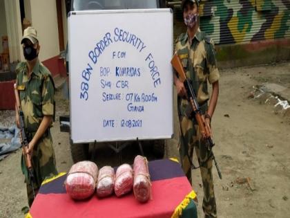 BSF seizes 9.8 kg cannabis along India-Bangladesh border in Assam | BSF seizes 9.8 kg cannabis along India-Bangladesh border in Assam