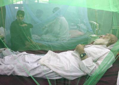 Islamabad witnesses spike in dengue cases | Islamabad witnesses spike in dengue cases