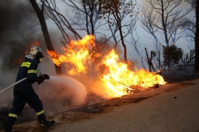 Greek PM says saving lives top priority as wildfires rage | Greek PM says saving lives top priority as wildfires rage
