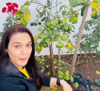 Preity Zinta is back to 'ghar ki kheti' | Preity Zinta is back to 'ghar ki kheti' Preity Zinta is back to 'ghar ki kheti' | Preity Zinta is back to 'ghar ki kheti'