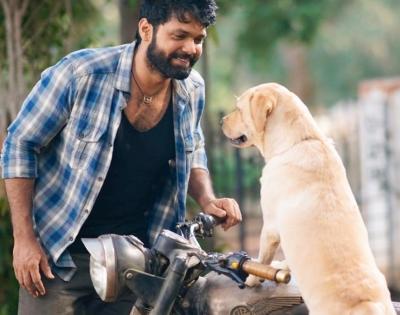 Get ready for a 'paw'-erful experience in '777 Charlie': Rakshith Shetty | Get ready for a 'paw'-erful experience in '777 Charlie': Rakshith Shetty
