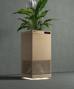 Indian scientists develop plant-based air purifier | Indian scientists develop plant-based air purifier