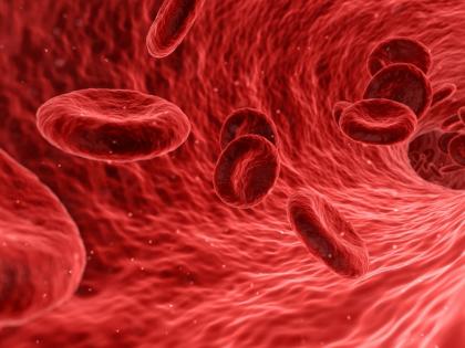 Red blood cells exposed to oxygen deficiency protect against heart attack | Red blood cells exposed to oxygen deficiency protect against heart attack Red blood cells exposed to oxygen deficiency protect against heart attack | Red blood cells exposed to oxygen deficiency protect against heart attack