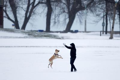 Humans spread more viruses to animals: Study | Humans spread more viruses to animals: Study Humans spread more viruses to animals: Study | Humans spread more viruses to animals: Study