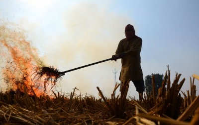 UP to impose fine for stubble burning | UP to impose fine for stubble burning