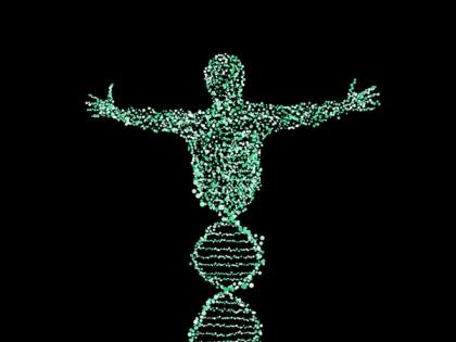 Stress in intestine influences chromosome inheritance: Study | Stress in intestine influences chromosome inheritance: Study