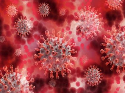 Body uses fat to fight infection, finds study | Body uses fat to fight infection, finds study Body uses fat to fight infection, finds study | Body uses fat to fight infection, finds study