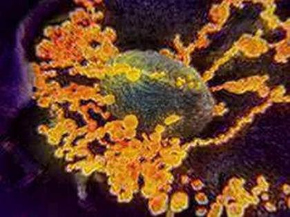 Unique bid by government to raise awareness about coronavirus | Unique bid by government to raise awareness about coronavirus
