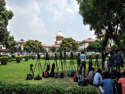 No Further Cutting Of Trees Needed: SC asks Maharashtra govt | No Further Cutting Of Trees Needed: SC asks Maharashtra govt