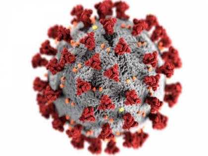 COVID-19 virus can cause blood-brain barrier, says new study | COVID-19 virus can cause blood-brain barrier, says new study COVID-19 virus can cause blood-brain barrier, says new study | COVID-19 virus can cause blood-brain barrier, says new study
