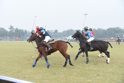 Polo gets an arena on grass format | Polo gets an arena on grass format