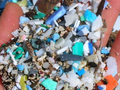 Study shows microplastics can alter behaviour, brain | Study shows microplastics can alter behaviour, brain Study shows microplastics can alter behaviour, brain | Study shows microplastics can alter behaviour, brain