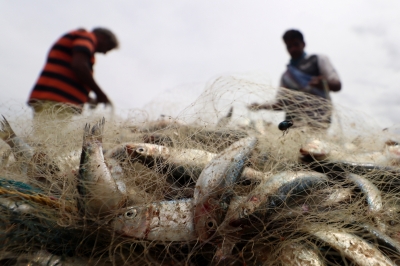 Relief package announced for Gujarat fishermen | Relief package announced for Gujarat fishermen