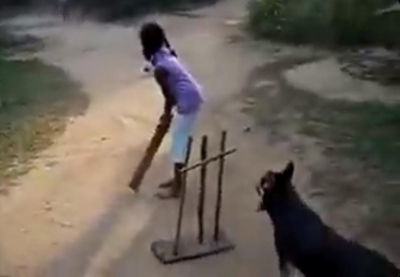 Tendulkar impressed by dog's 'sharp ball catching skills', posts video on social media | Tendulkar impressed by dog's 'sharp ball catching skills', posts video on social media
