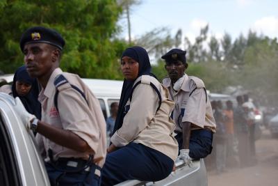 Kenya lauds sentencing in wildlife crime case over smuggling of 5,000 ants | Kenya lauds sentencing in wildlife crime case over smuggling of 5,000 ants Kenya lauds sentencing in wildlife crime case over smuggling of 5,000 ants | Kenya lauds sentencing in wildlife crime case over smuggling of 5,000 ants
