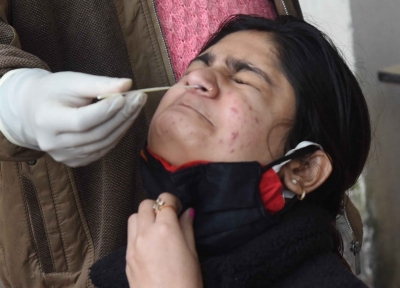 Delhi sees 739 fresh Covid cases, 5 deaths | Delhi sees 739 fresh Covid cases, 5 deaths Delhi sees 739 fresh Covid cases, 5 deaths | Delhi sees 739 fresh Covid cases, 5 deaths