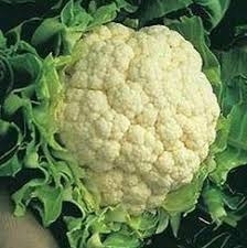 Man killed for stealing cauliflower in Bihar | Man killed for stealing cauliflower in Bihar Man killed for stealing cauliflower in Bihar | Man killed for stealing cauliflower in Bihar