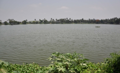TN to notify 17 water bodies as wetlands | TN to notify 17 water bodies as wetlands