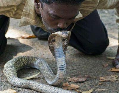 Kerala: Snake catcher Vava Suresh taken off ventilator; shows improvement | Kerala: Snake catcher Vava Suresh taken off ventilator; shows improvement