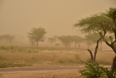 Western disturbance brings dust storm, rain in Delhi NCR | Western disturbance brings dust storm, rain in Delhi NCR
