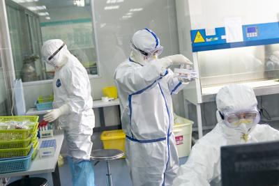 Amateur investigators claim to break Wuhan lab secrets | Amateur investigators claim to break Wuhan lab secrets