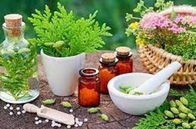 UP's 1st naturopathy centre in Varanasi planned | UP's 1st naturopathy centre in Varanasi planned