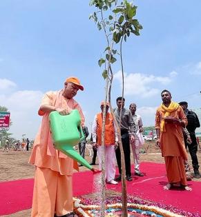 Yogi launches mega tree plantation drive in UP | Yogi launches mega tree plantation drive in UP