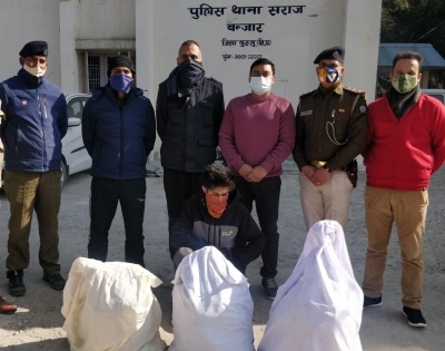 Huge cache of cannabis worth Rs 4 cr seized in Kullu Valley | Huge cache of cannabis worth Rs 4 cr seized in Kullu Valley