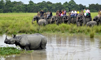 Elephant, jeep safaris at Kaziranga to close for tourists from May | Elephant, jeep safaris at Kaziranga to close for tourists from May