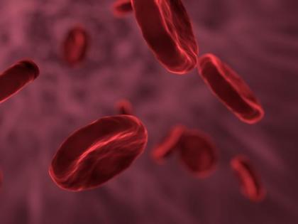 Space study reveals bone marrow fat may replenish depleted red blood cells, rebuild bone | Space study reveals bone marrow fat may replenish depleted red blood cells, rebuild bone Space study reveals bone marrow fat may replenish depleted red blood cells, rebuild bone | Space study reveals bone marrow fat may replenish depleted red blood cells, rebuild bone