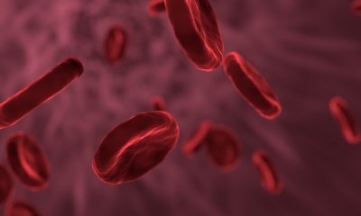 Gut microbes may be behind high blood clot risk in some Covid patients | Gut microbes may be behind high blood clot risk in some Covid patients Gut microbes may be behind high blood clot risk in some Covid patients | Gut microbes may be behind high blood clot risk in some Covid patients