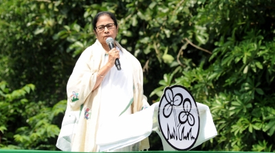 At times, I feel I would have quit politics: Mamata Banerjee | At times, I feel I would have quit politics: Mamata Banerjee