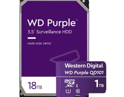 Western Digital launches 18TB HDD, 1TB microSD card in India | Western Digital launches 18TB HDD, 1TB microSD card in India