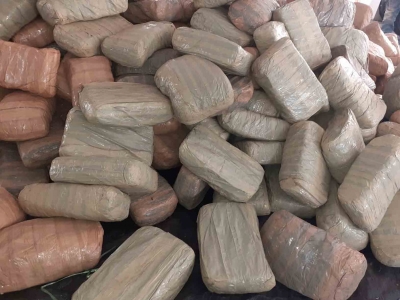Every second day, a narcotics raid in Goa, 'ganja' most seized drug | Every second day, a narcotics raid in Goa, 'ganja' most seized drug