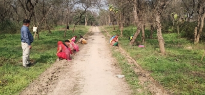 Punjab women make living out of their backyard greens, conserve it too | Punjab women make living out of their backyard greens, conserve it too